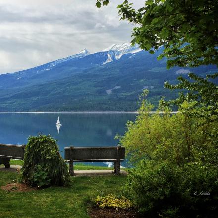 park bench near water with mountains in background